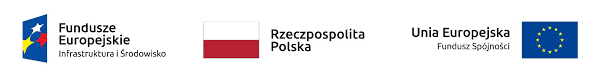 logo instytucji finansujących