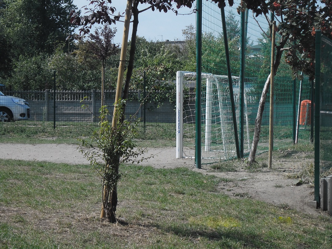bramka