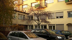 Dyrektor KZGM w Katowicach
